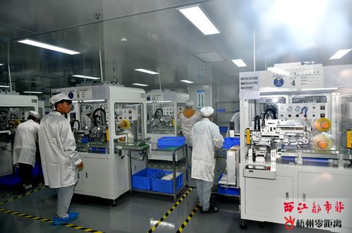 科技企業(yè)奮楫第四季度 電子產(chǎn)品技術(shù)開(kāi)發(fā)的新機(jī)遇與挑戰(zhàn)